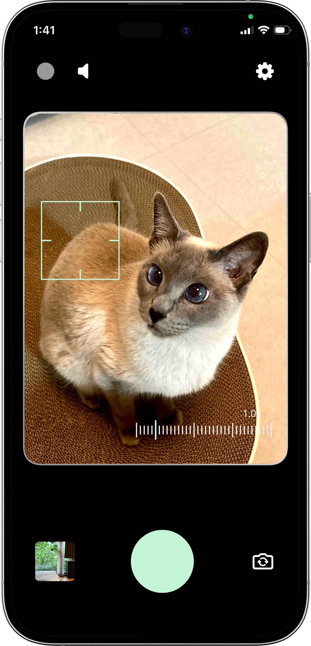 Névo camera viewfinder showing a close-up of a Siamese cat with a focus square and zoom slider