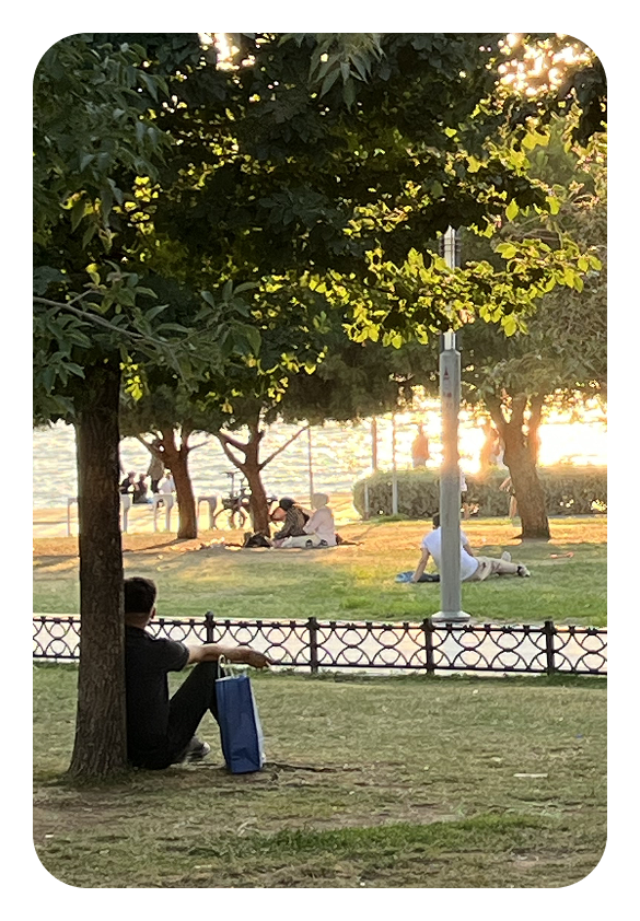 A person sitting alone on a park bench in the late afternoon golden light, framed by trees